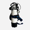 SPARE CYLINDER 3 OR 5 LT WITH BACKPLATE SCUBA DIVING